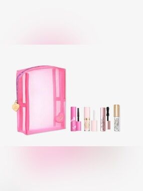 Brand New! Too Faced Pink Mesh Cosmetic Bag with 4 piece Mini Makeup Set!